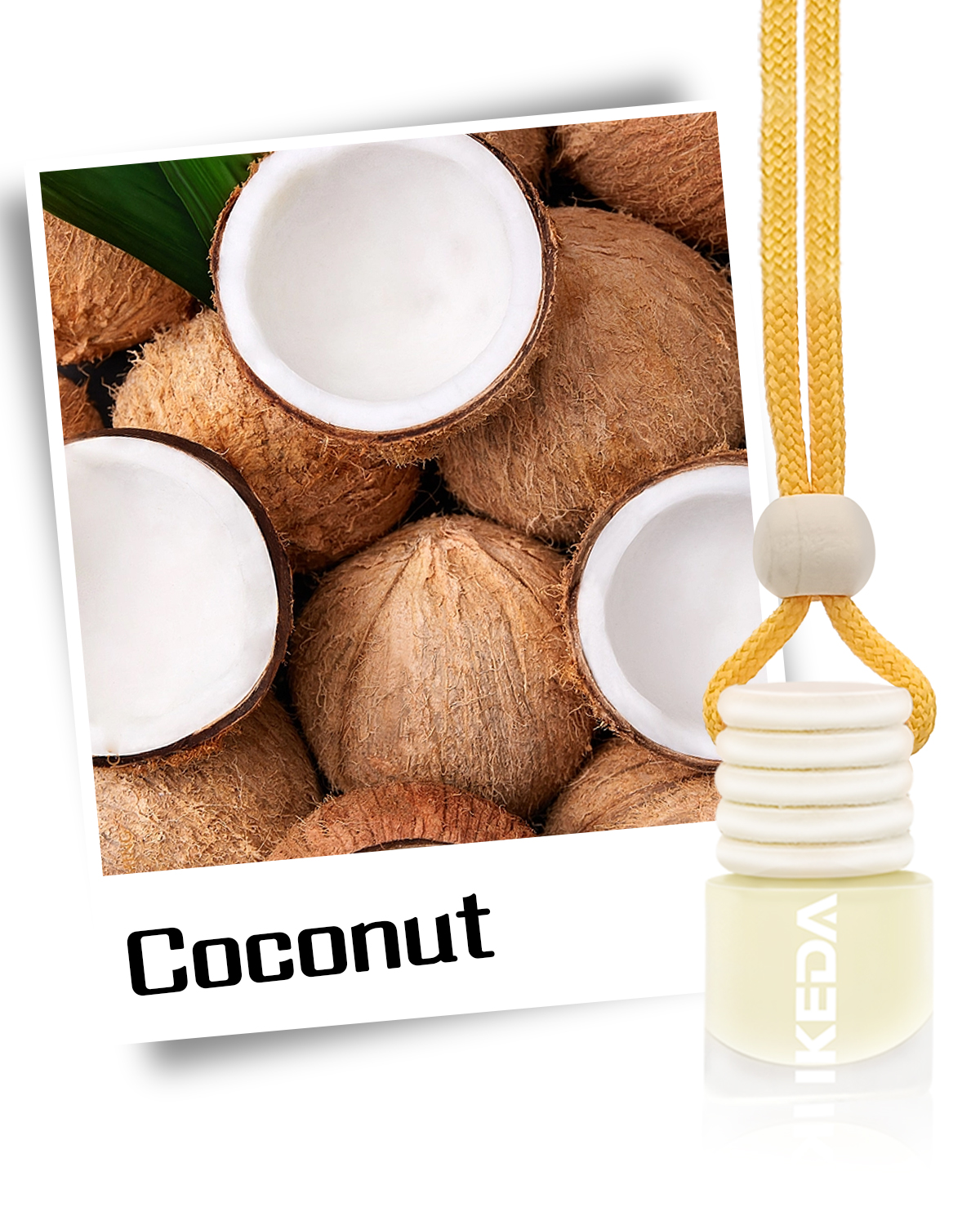 Coconut - Image 2